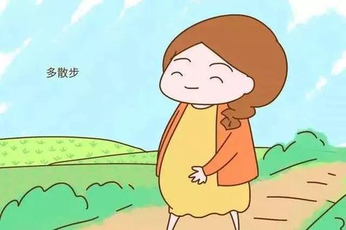 1560222367568668.jpg u=1311635970,647607080&fm=26&gp=0.jpg