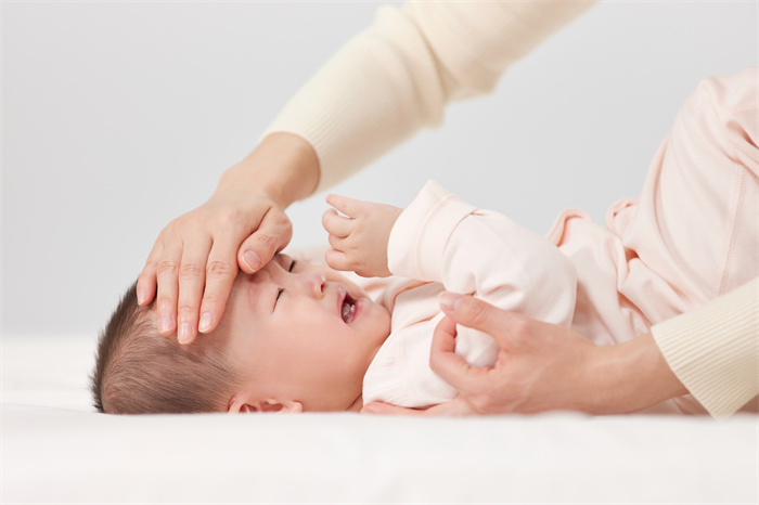 1653212447161167.jpg 19.jpg